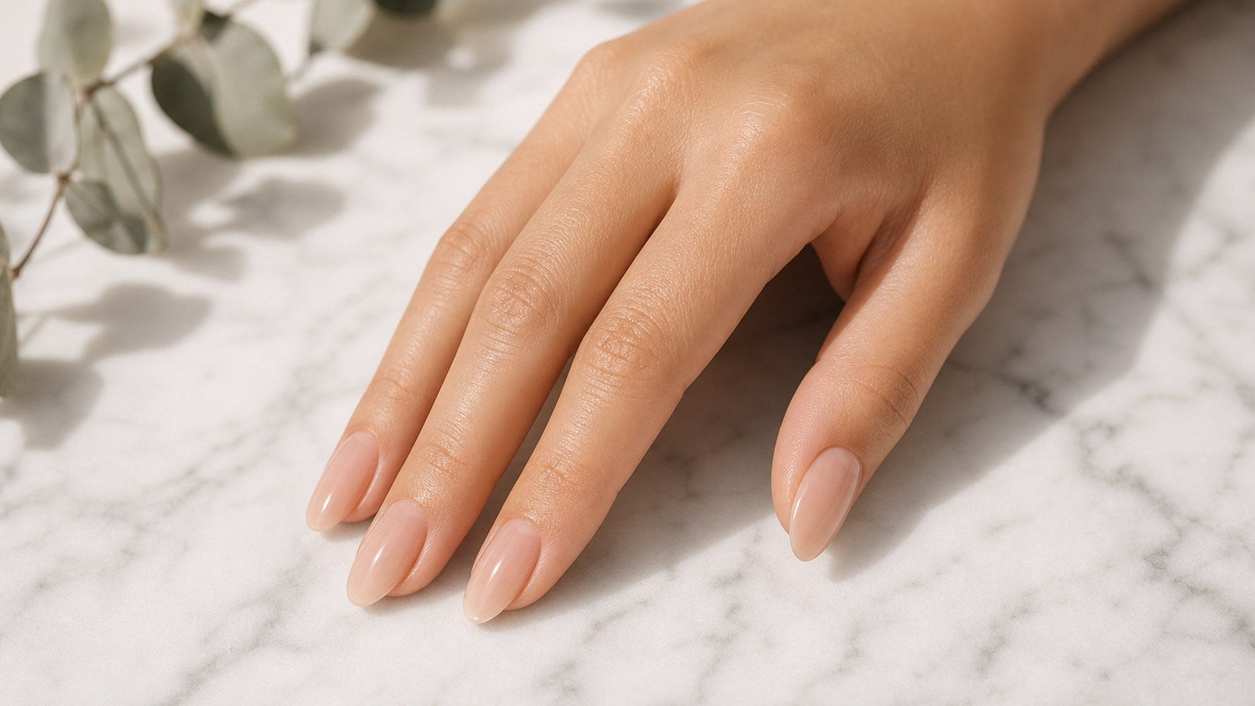 natural almond nail shape on hand elegant minimalist press on nails