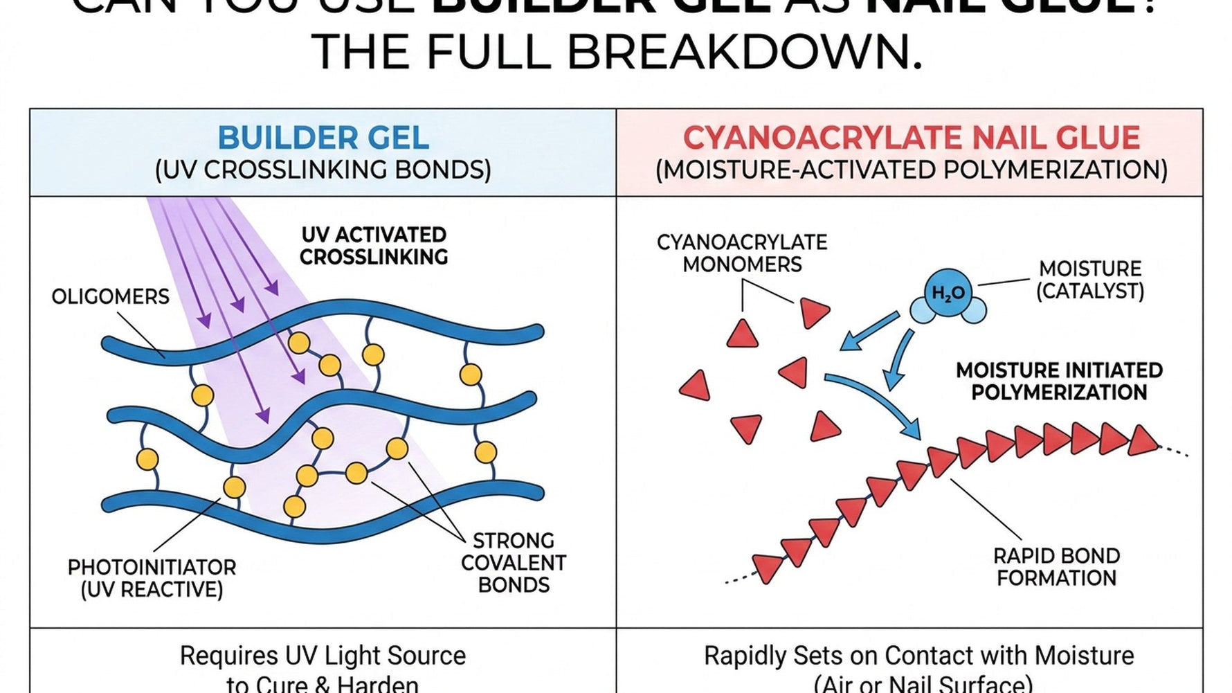 Can You Use Builder Gel as Nail Glue? The Full Breakdown hero image
