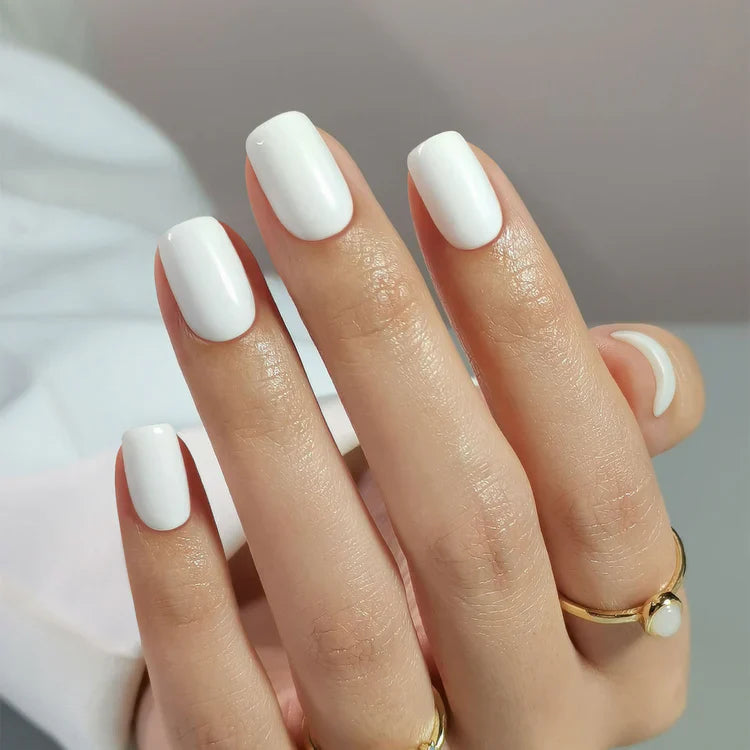 Solid Color