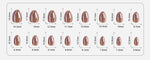 Mocha Mirage Chrome — Extra Short Almond 16 size options mm measurement chart | SHANGMENG®